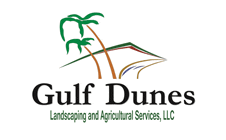 gulf_dunes