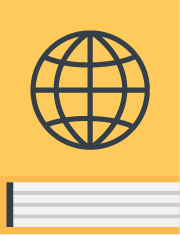 Litigation and International Litigation Services